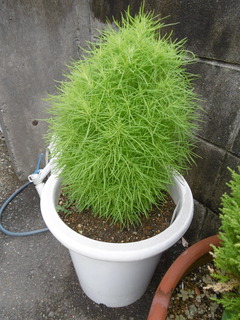 P1040198.JPG